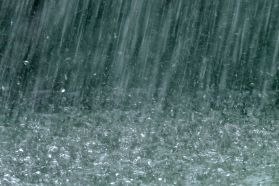 木製サッシでも、しっかり雨に強い